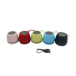 Parlantes portatil