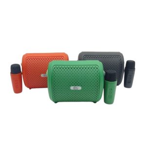 Parlantes portatil