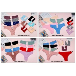 BIKINI ALG ESPECIAL