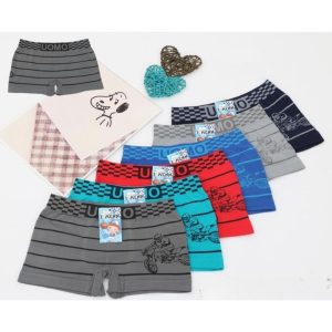 BOXER NIÑO MICRO